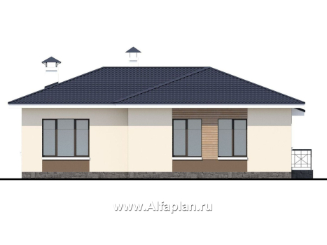 Проекты домов Альфаплан - «Теплый очаг» - экономичный одноэтажный дом - превью фасада №4