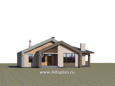 Проекты домов Альфаплан - «Аркада» - современный одноэтажный дом с фальцевой кровлей - превью дополнительного изображения №1