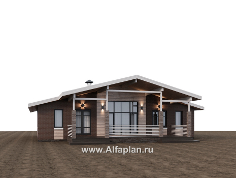Проекты домов Альфаплан - "Симплекс" - простой в строительстве одноэтажный дом - превью дополнительного изображения №2