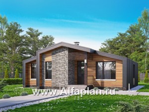 Проекты домов Альфаплан - «Альфа» - каркасный дом с сауной - превью основного изображения